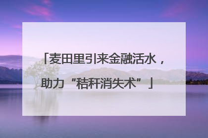 麦田里引来金融活水，助力“秸秆消失术”