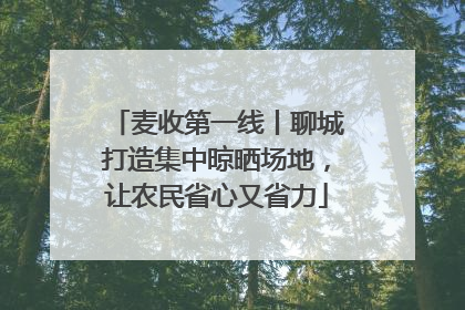 麦收第一线丨聊城打造集中晾晒场地，让农民省心又省力