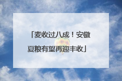 麦收过八成！安徽夏粮有望再迎丰收