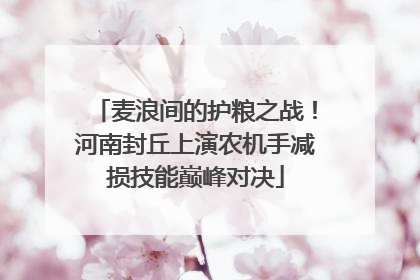 麦浪间的护粮之战！河南封丘上演农机手减损技能巅峰对决