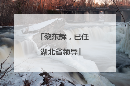 黎东辉，已任湖北省领导