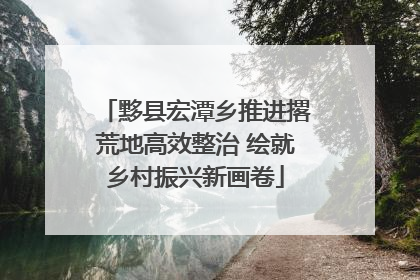 黟县宏潭乡推进撂荒地高效整治 绘就乡村振兴新画卷