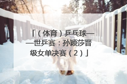 （体育）乒乓球——世乒赛：孙颖莎晋级女单决赛（2）