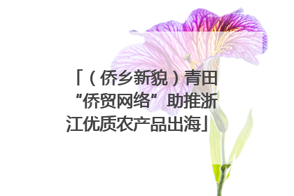 （侨乡新貌）青田“侨贸网络”助推浙江优质农产品出海