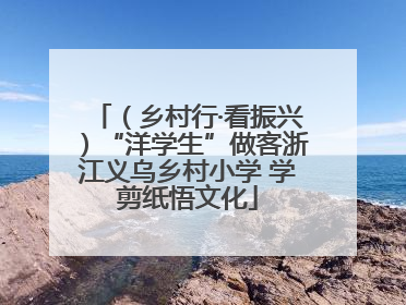 （乡村行·看振兴）“洋学生”做客浙江义乌乡村小学 学剪纸悟文化