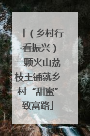 （乡村行·看振兴）一颗火山荔枝王铺就乡村“甜蜜”致富路