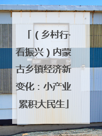 （乡村行·看振兴）内蒙古乡镇经济新变化：小产业累积大民生