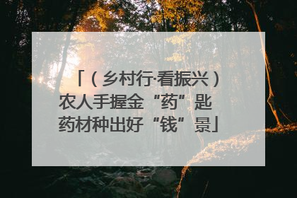 （乡村行·看振兴）农人手握金“药”匙 药材种出好“钱”景