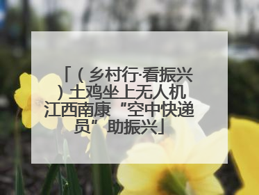 （乡村行·看振兴）土鸡坐上无人机 江西南康“空中快递员”助振兴