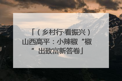 （乡村行·看振兴）山西高平：小辣椒“椒”出致富新答卷