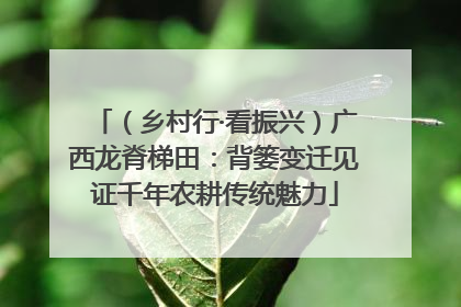 （乡村行·看振兴）广西龙脊梯田：背篓变迁见证千年农耕传统魅力