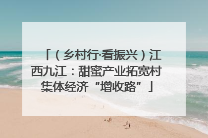 （乡村行·看振兴）江西九江：甜蜜产业拓宽村集体经济“增收路”