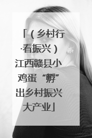 （乡村行·看振兴）江西赣县小鸡蛋“孵”出乡村振兴大产业