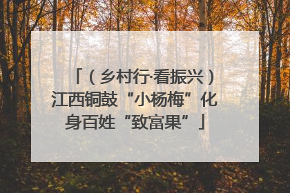 （乡村行·看振兴）江西铜鼓“小杨梅”化身百姓“致富果”