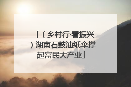 （乡村行·看振兴）湖南石鼓油纸伞撑起富民大产业