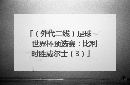 （外代二线）足球——世界杯预选赛：比利时胜威尔士（3）