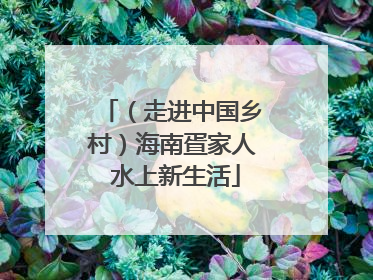 （走进中国乡村）海南疍家人 水上新生活