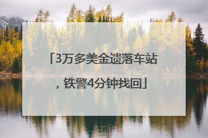3万多美金遗落车站，铁警4分钟找回