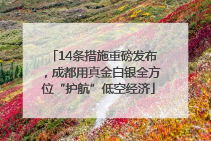 14条措施重磅发布，成都用真金白银全方位“护航”低空经济