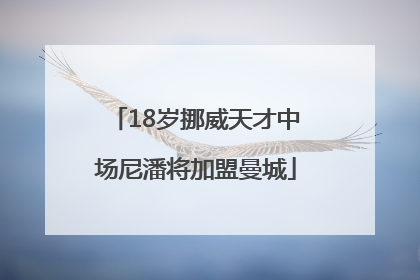 18岁挪威天才中场尼潘将加盟曼城