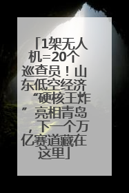 1架无人机=20个巡查员！山东低空经济“硬核王炸”亮相青岛，下一个万亿赛道藏在这里