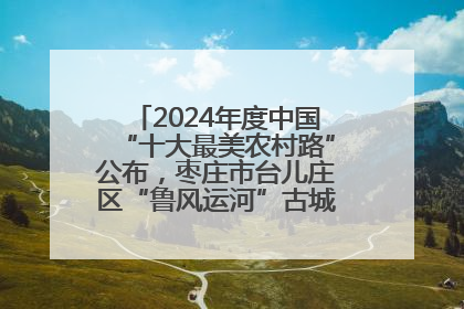 2024年度中国“十大最美农村路”公布，枣庄市台儿庄区“鲁风运河”古城文化廊道上榜！