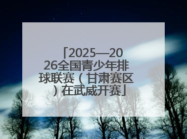 2025—2026全国青少年排球联赛（甘肃赛区）在武威开赛
