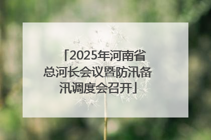 2025年河南省总河长会议暨防汛备汛调度会召开