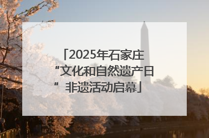 2025年石家庄“文化和自然遗产日”非遗活动启幕