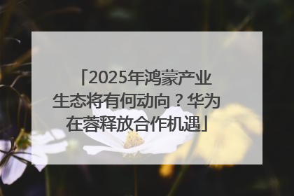 2025年鸿蒙产业生态将有何动向？华为在蓉释放合作机遇