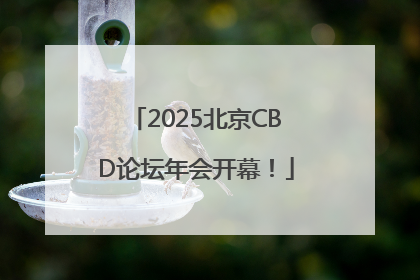 2025北京CBD论坛年会开幕！