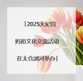 2025天妃宫妈祖文化交流活动在太仓浏河举办