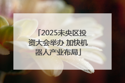 2025未央区投资大会举办 加快机器人产业布局