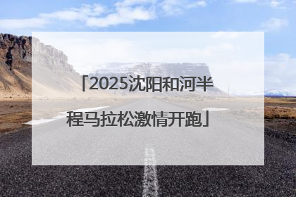 2025沈阳和河半程马拉松激情开跑
