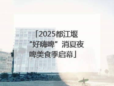 2025都江堰“好嗨啤”消夏夜啤美食季启幕