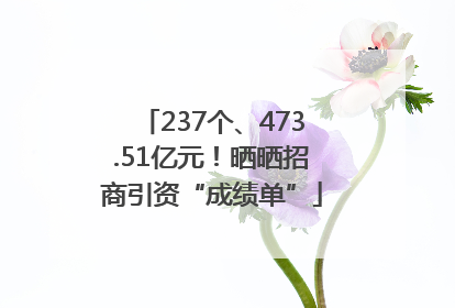 237个、473.51亿元！晒晒招商引资“成绩单”