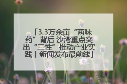 3.3万余亩“两味药”背后 沙湾重点突出“三性”推动产业实践丨新闻发布最前线
