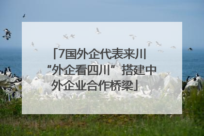 7国外企代表来川 “外企看四川”搭建中外企业合作桥梁