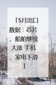 5月出口数据：芯片、船舶继续大涨 手机、家电下滑