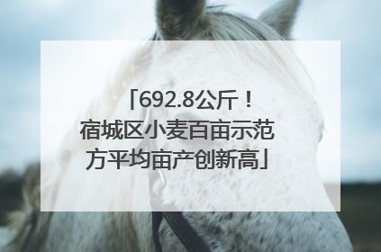 692.8公斤！宿城区小麦百亩示范方平均亩产创新高