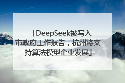 DeepSeek被写入市政府工作报告，杭州将支持算法模型企业发展