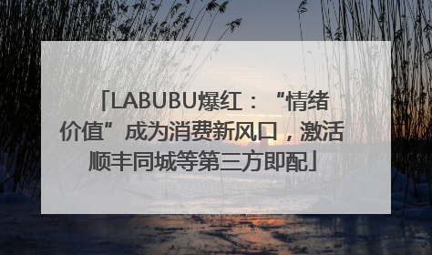 LABUBU爆红：“情绪价值”成为消费新风口，激活顺丰同城等第三方即配
